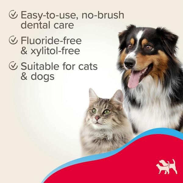 Beaphar Tooth Gel for Dogs & Cats 100g