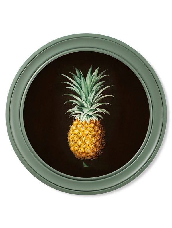 Exceptional Art c.1812 Pineapple Study (Black) - Green Round Frame