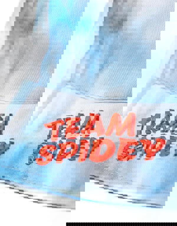 Marvel Spidey and His Amazing Friends Boys Blue Team Spidey Bucket Hat (One Size)