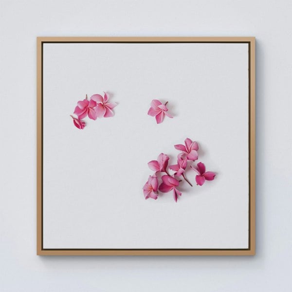 Warren Reed Pink Frangipani Flowers Framed Canvas