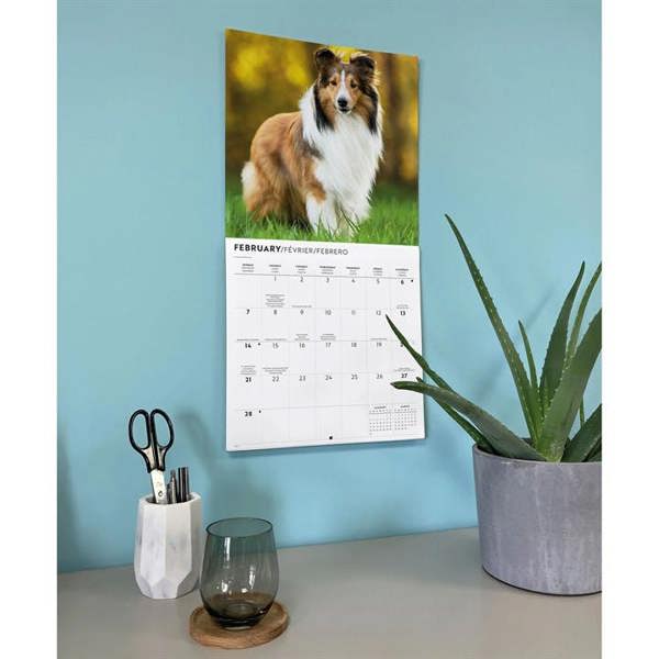Shetland Sheepdogs Calendar 2027, Wall Calendars, Month To View, Dogs, Gift