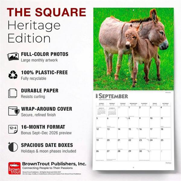 Donkeys Calendar 2027, Wall Calendars, Month To View, Animals, Gift
