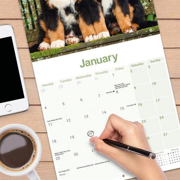 Bernese Mountain Dog Calendar 2027, Wall Calendars, Month To View, Dogs, Gift