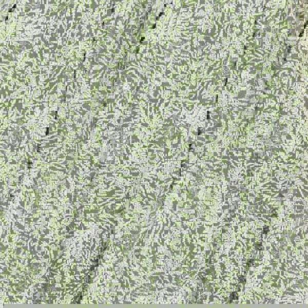 Green | Leaf Print Pleat-Front Wide Leg Culottes