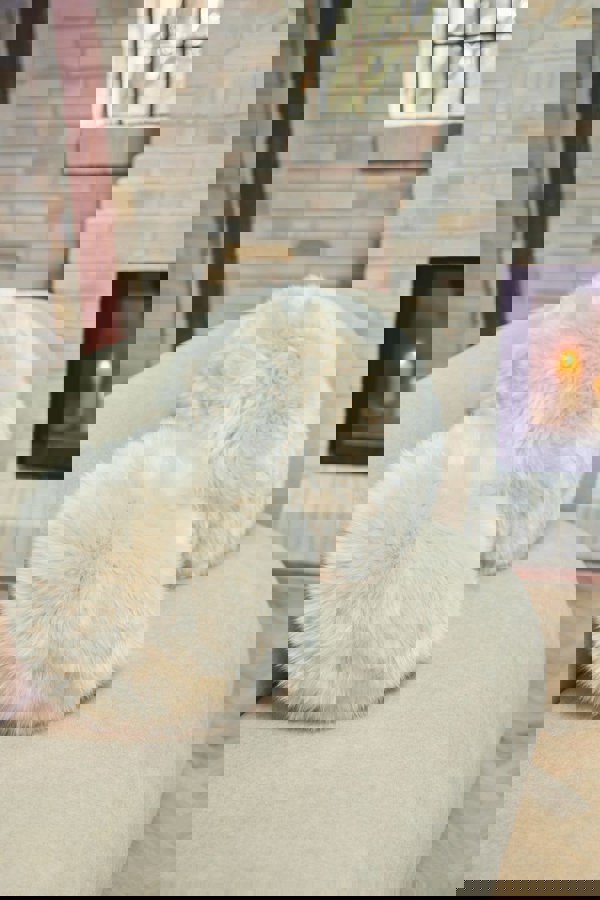 Angelite Cushion | Ø30 cm | LW