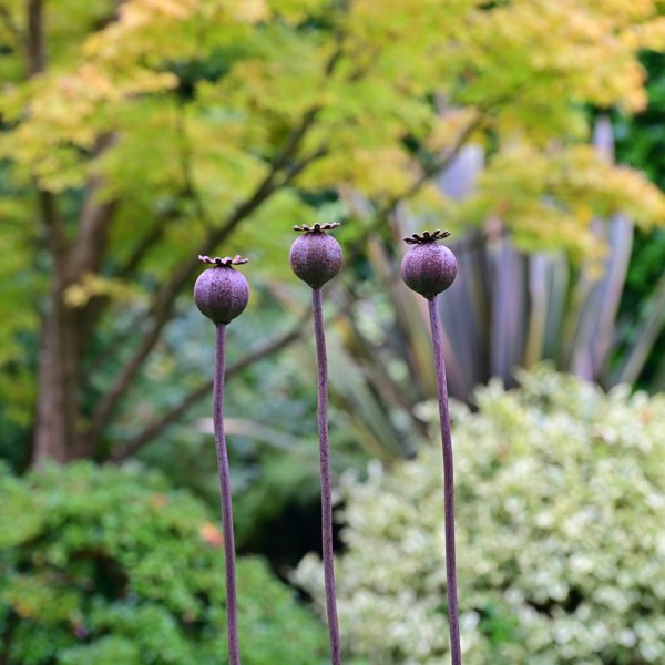 rusty metal flower garden ornament stakes