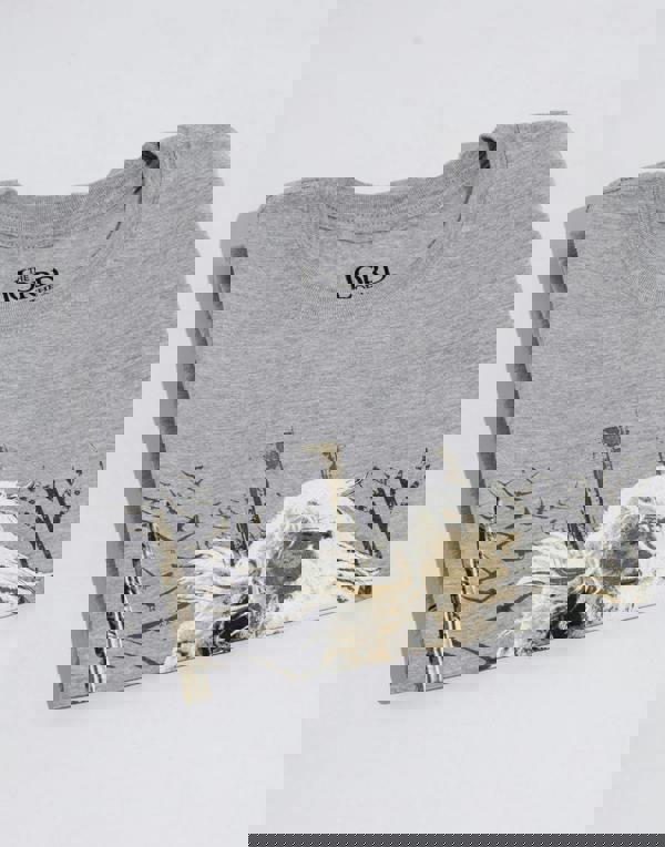 Lord Of The Rings Mens Grey Gandalf Short Sleeved T-Shirt