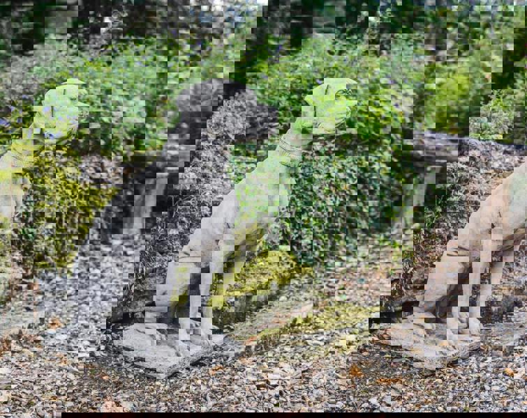 Large Life-size Hunting Dog Stone garden ornament