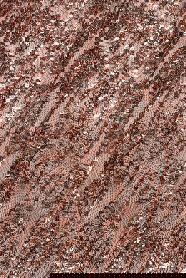 Embellished Sequin Bishop Sleeve Maxi Dress - Champagne DR4634