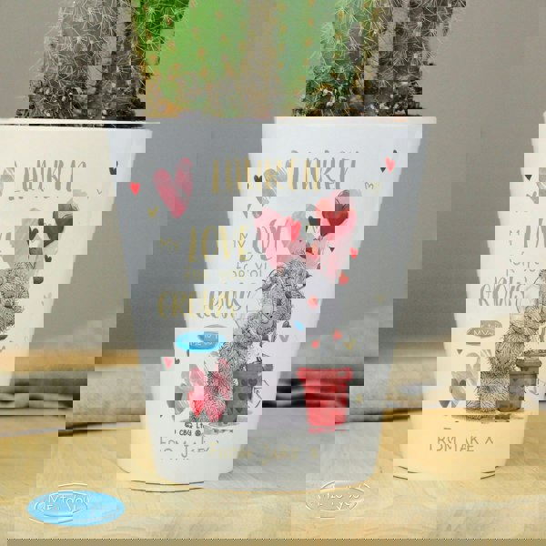 Personalised Memento Company Personalised Me To You Love Grows Plant Pot