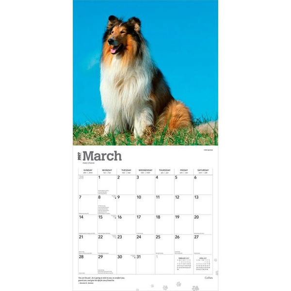 Collies Calendar 2027, Wall Calendars, Month To View, Dogs, Gift