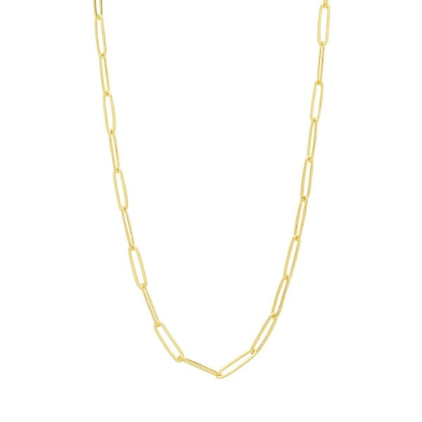 Gold chain necklace on a white background