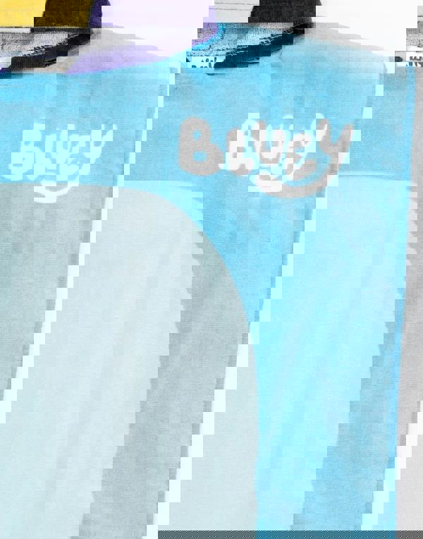 Bluey Unisex Kids Blue Poncho Towel (One Size)