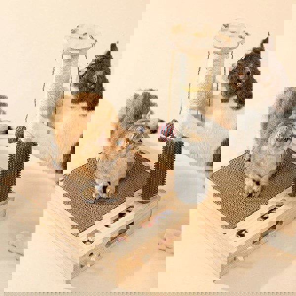 Bud's Toy, ScratchingPost, Cat Scratchers-Weilai concept-Weilai Concept