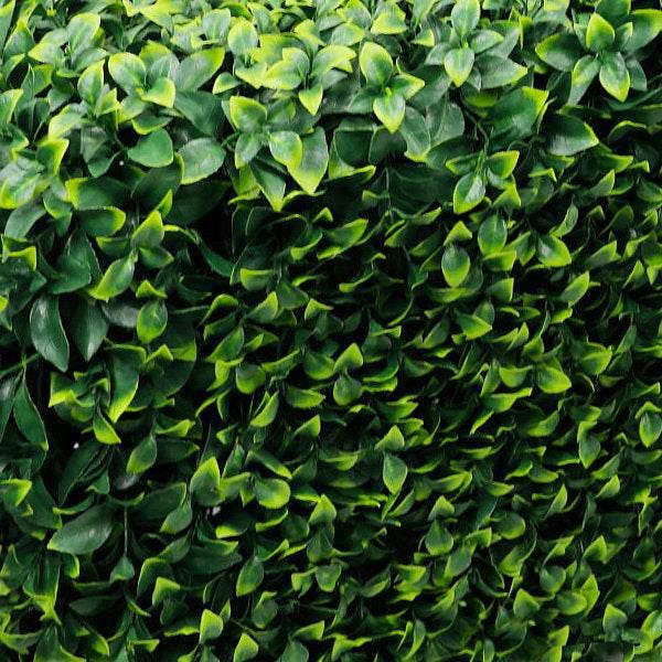Premium Freestanding Artificial Gardenia Hedge - 56cm x 158cm - Evergreenery
