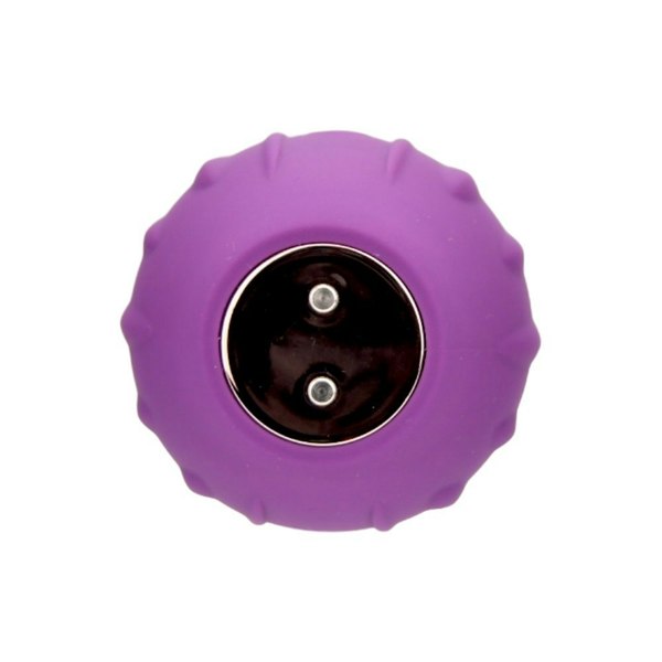 Loving Joy Rose Licking Clitoral Vibrator