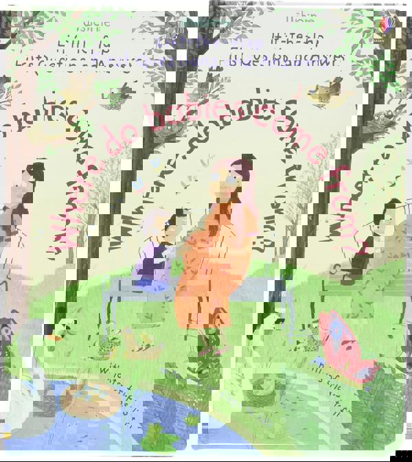 Where Do Babies Come from? (Usborne Lift-the-Flap First Questions and Answers)