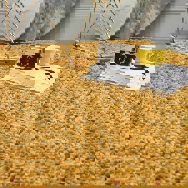 Origins Portland Ochre