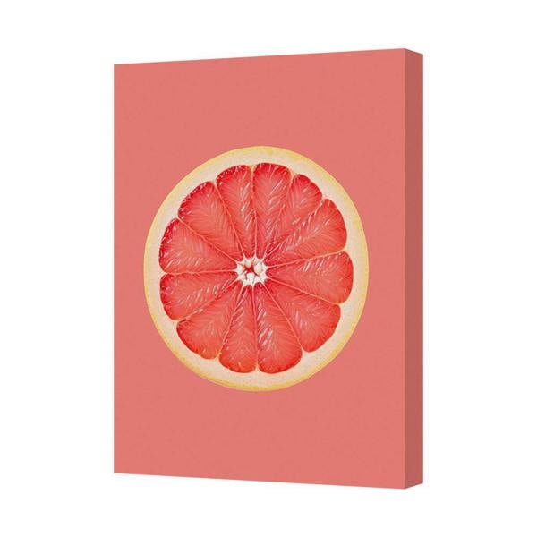 Benjamin Tate Design Contemporary Canvas Art Print Grapefruit Slice Wall Decor UK Handmade