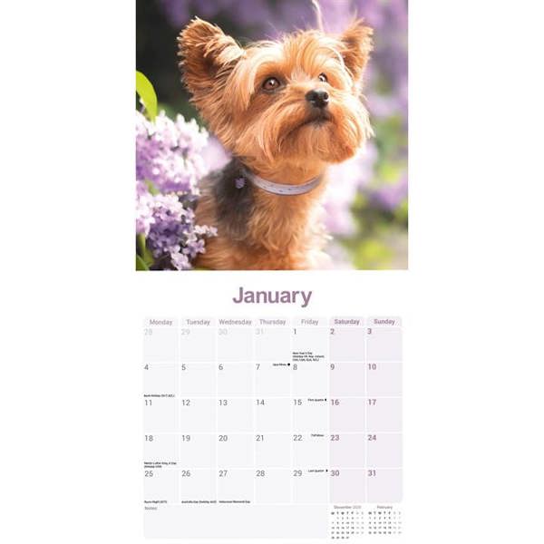 Yorkshire Terrier Calendar 2027, Wall Calendars, Month To View, Dogs, Gift