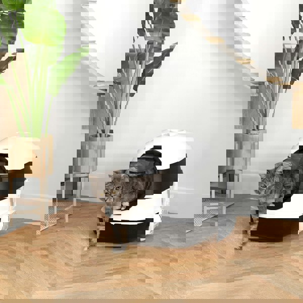 D31-066V00BK