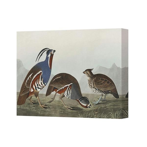 Benjamin Tate Design Birds In Wetland Canvas Wall Art Print 2625 Home Decor