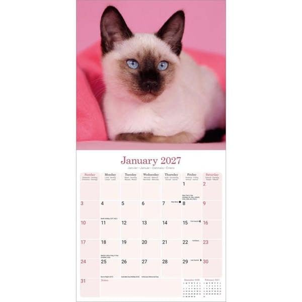 Siamese Cats Calendar 2027, Wall Calendars, Month To View, Cats, Gift