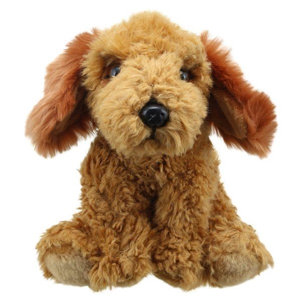 Wilberry Cockapoo (Golden) - Wilberry Favourites