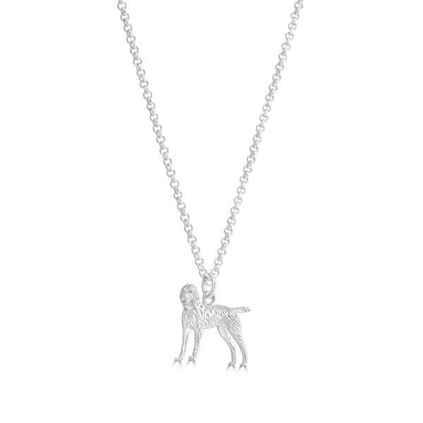Vizsla Silver Necklace - Personalised - MYLEE London