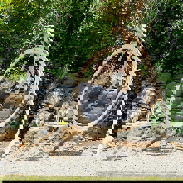 Amazonas Globo Single Anthracite Hanging Egg Chair