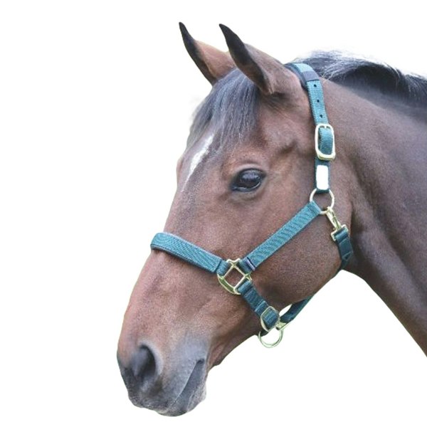 Shires Topaz Nylon Horse Headcollar - Dark Green