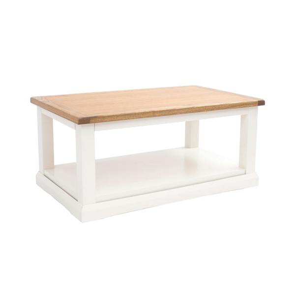Cabinet Bits Coffee Table with Shelf - H45 W100 D60cm