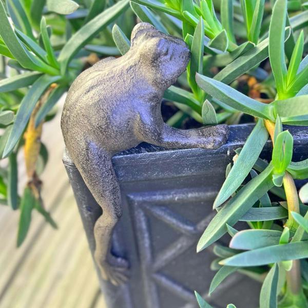 Ascalon Edge Hanging Frog Cast Iron Animal Garden Ornament