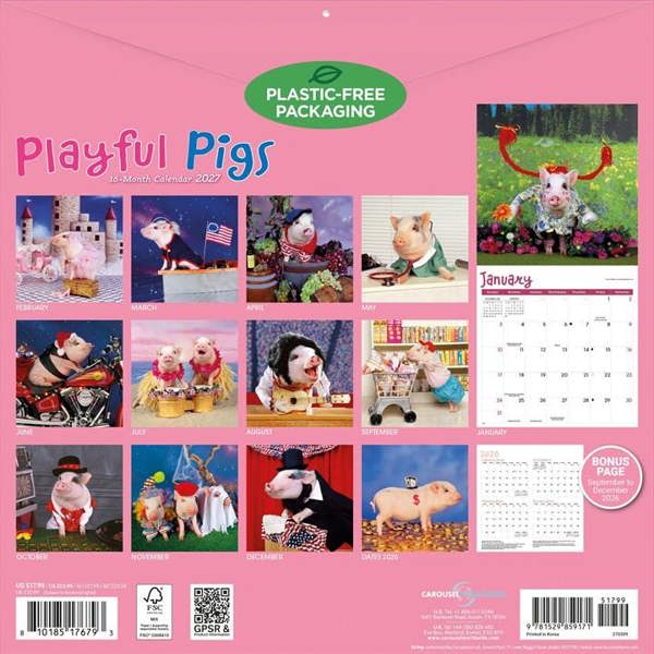 Playful Pigs Calendar 2027, Wall Calendars, Month To View, Animals, Gift
