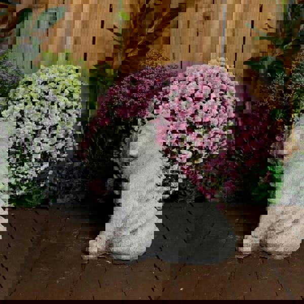 Cute Bulldog Pup Garden Ornament Dog Statue 