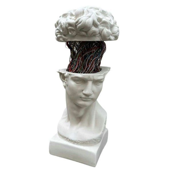 Artchi David Colourful Brain Medium