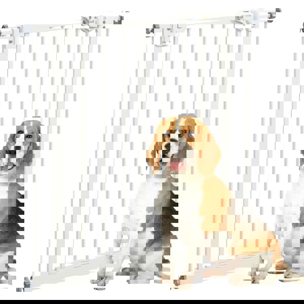 D06-096V01WT