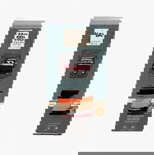 Totes Toasties ORIGINAL SLIPPER SOCKS (TWIN PACK) Mens Socks Campervan / Stripe