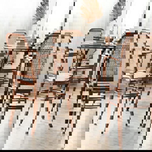 Paris G04 Rattan Dining Chair, Walnut-Weilai Concept-Weilai Concept