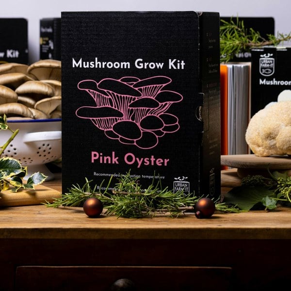 Urban Farm-It Pink Oyster Mushroom Growing Kit