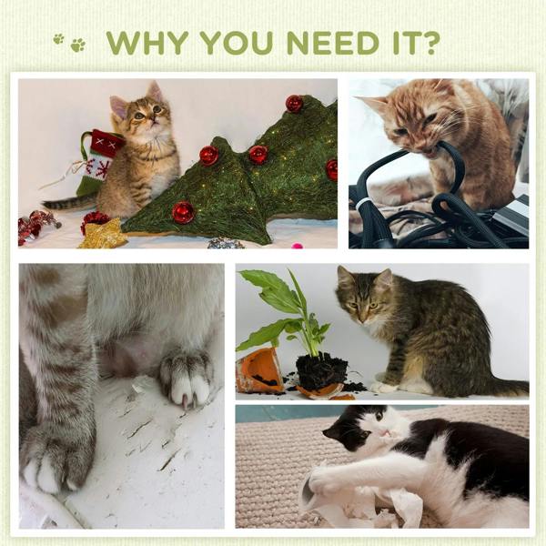 Collage of cats playing indoors, with no cat tree clearly shown