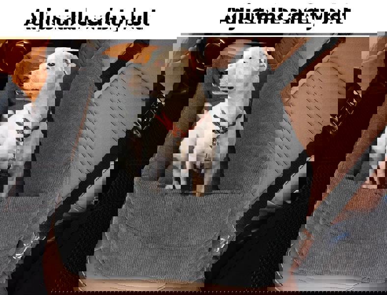 Skylos Pet Car Booster Seat Dog Protector Portable Travel Bed Removable Grey L