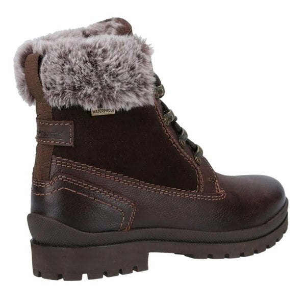 Cotswold Womens/Ladies Evenlode Ankle Boots - Brown