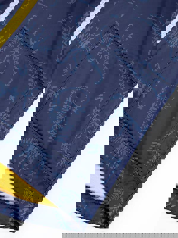 Kite Boys Organic Dino Discovery Splash Coat