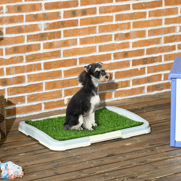 Dog Toilet