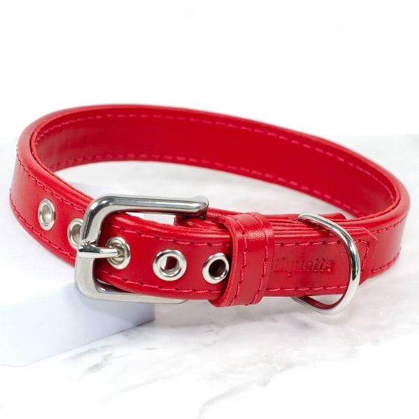 ruby red leather dog collar - Petiquette Collars