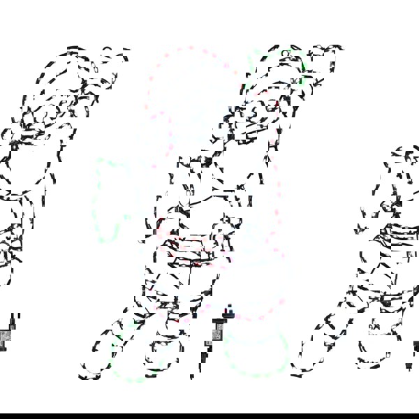 Samuel Alexander 60cm x 45cm Light up FlexiBrights Santa with 247 Multi-Coloured LEDs