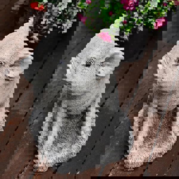 Adorable Stone Cast Babe Pig Garden Ornament