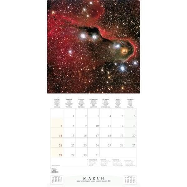 Where Stars Are Born Calendar 2027, Wall Calendars, Month To View, Natural World, Gift