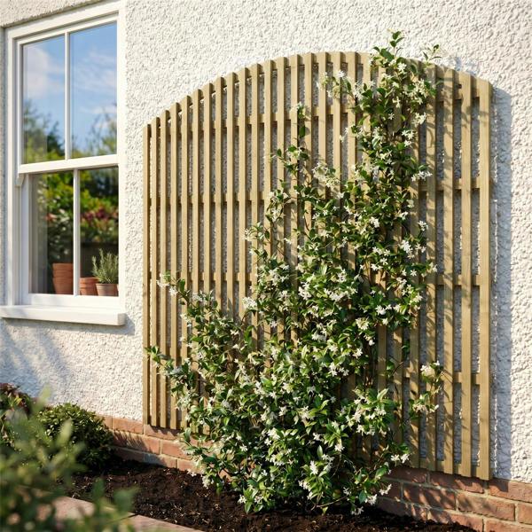 4 pack trellis premier florence [w.6ft x h.4ft] 1